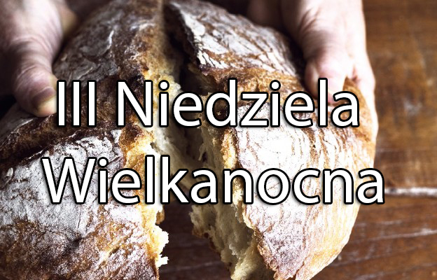 INTENCJE MSZALNE – 23–29.04.2023