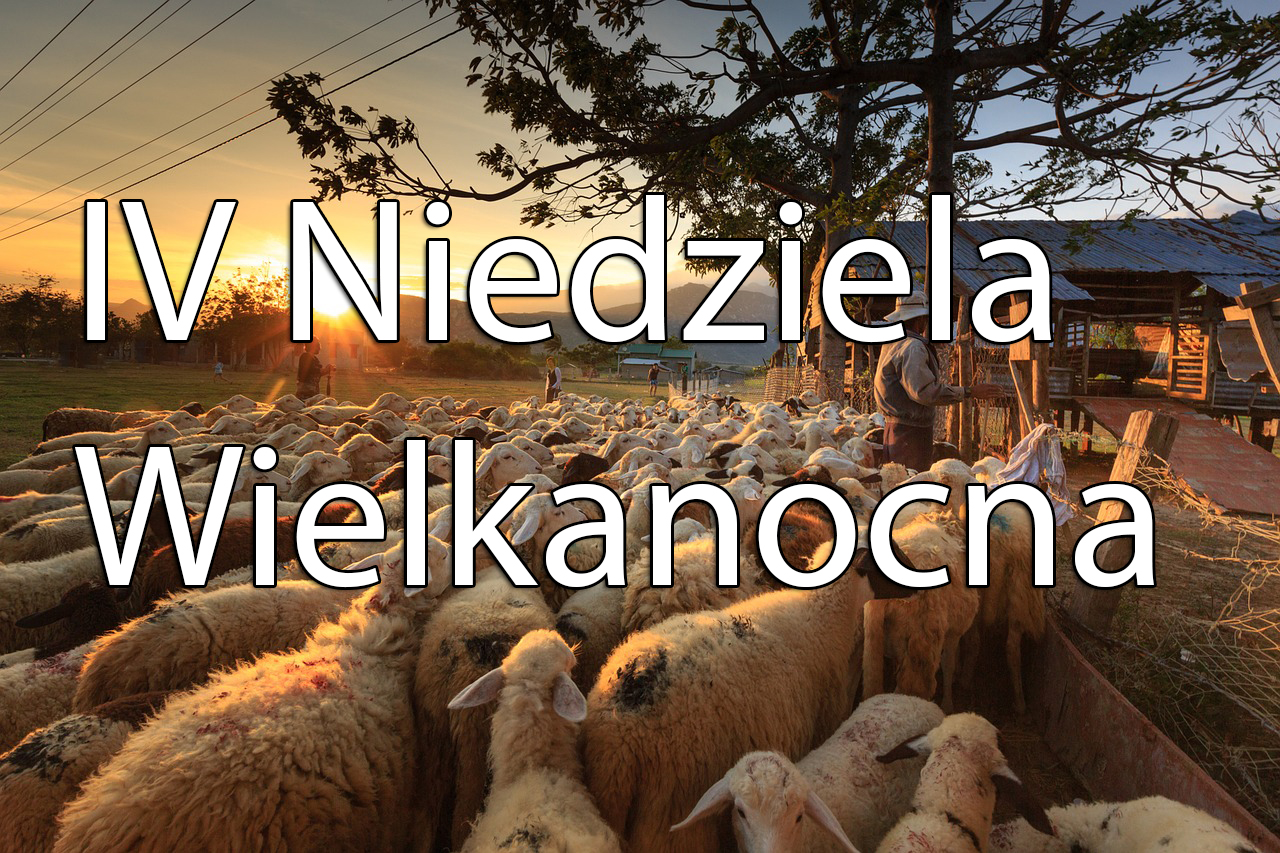 INTENCJE MSZALNE – 30.04 - 06.05.2023