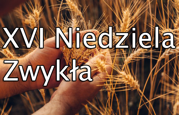 INTENCJE MSZALNE – 23 - 29.07.2023