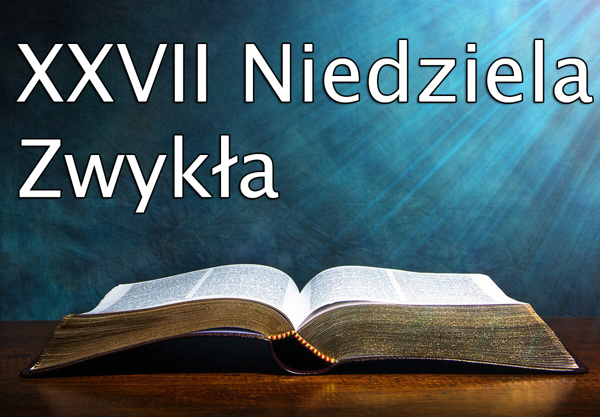 OGŁOSZENIA PARAFIALNE XXVII NIEDZIELA ZWYKŁA 08- 14.10.2023r