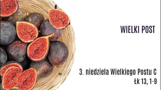 INTENCJE MSZALNE- III NIEDZIELA WIELKIEGO POSTU