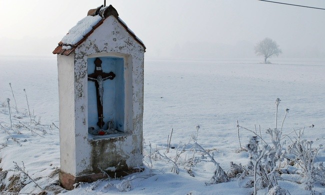 OGŁOSZENIA PARAFIALNE-  II NIEDZIELA ZWYKŁA